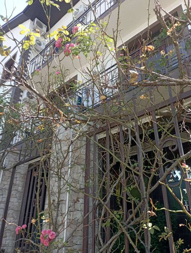 Гостиница Вавилон Геленджик-49